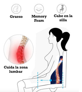 Cojín ergonómico para silla